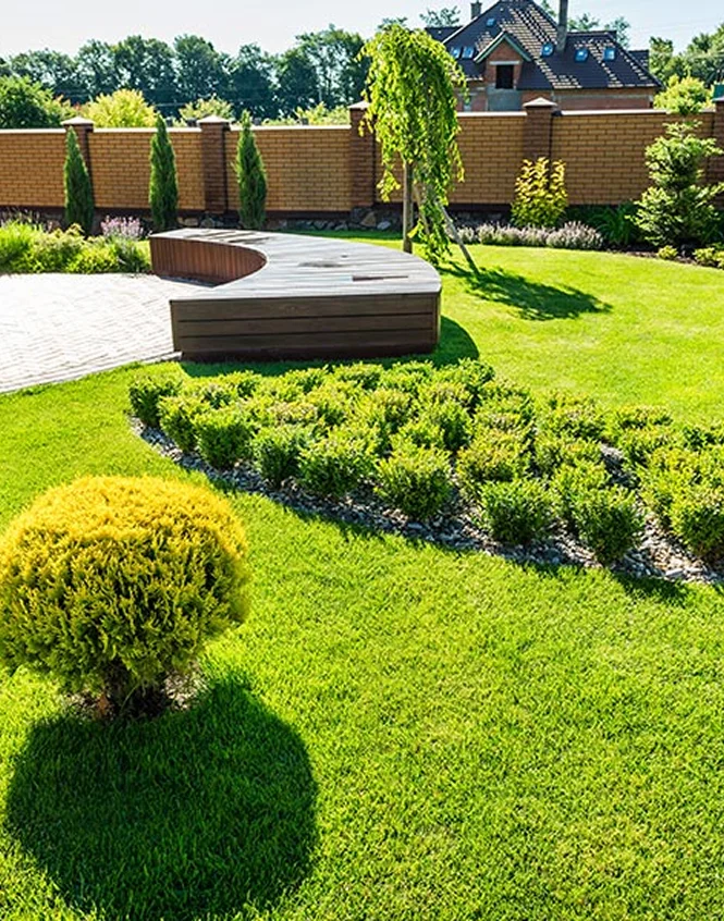 Reymann Multiservices Vide Maison Haguenau Espaces Verts